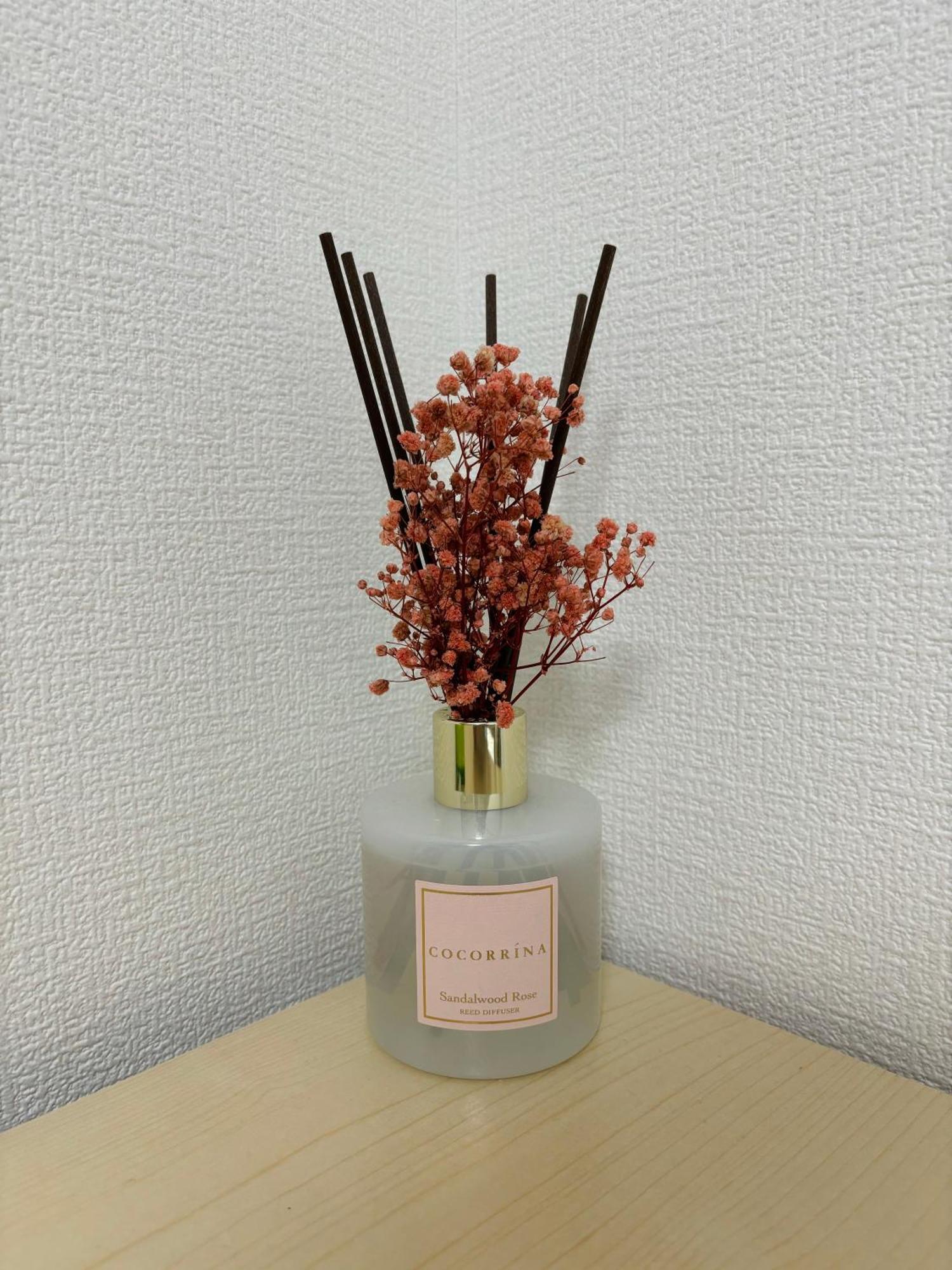 Bon House Kanamachi Direct To Sensoji Skytree Disneyland Airport Free Parking طوكيو المظهر الخارجي الصورة
